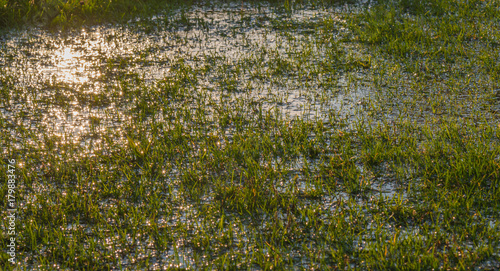 Tableau sur toile A waterlogged green grass pitch field with the sun shining onto it