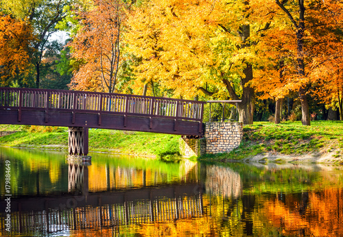 Colorful autumn park with lake and colored trees