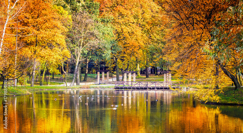 Fototapeta Naklejka Na Ścianę i Meble -  Colorful autumn park with lake and colored trees