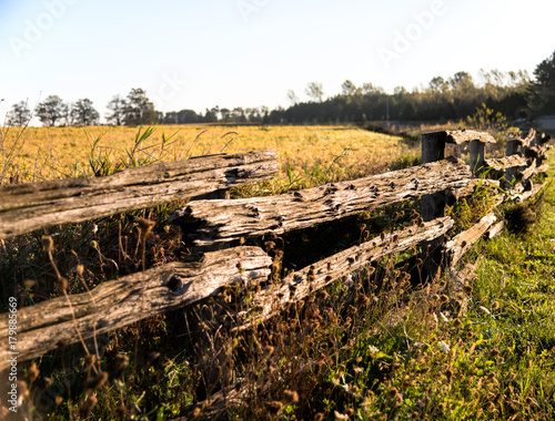 Fototapeta Naklejka Na Ścianę i Meble -  Farmland Fence