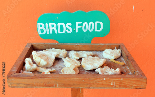 Wooden bird feeder photo