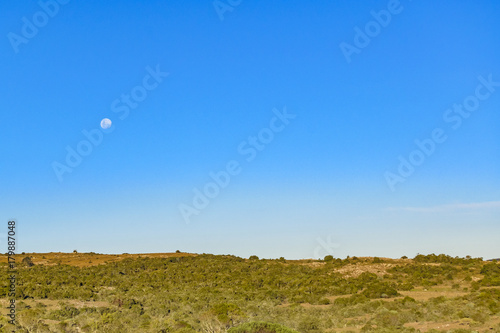 Countryside Landscape Scene, Lavalleja, Uruguay © danflcreativo