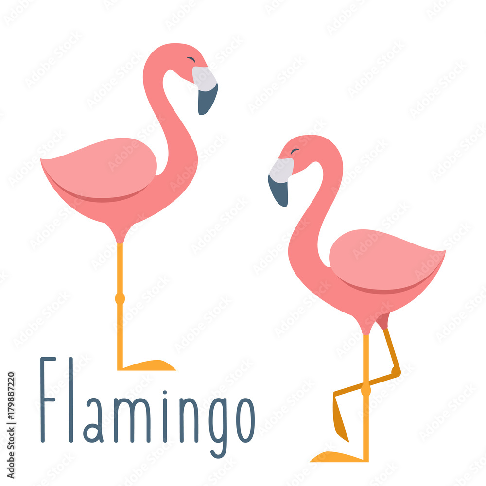 Pink flamingo. Vector illustration in flat cartoon style
