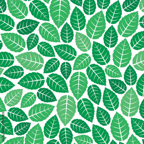 background pattern with fresh mint leaves 