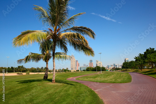 Modern park in Dubai City UAE © arbalest