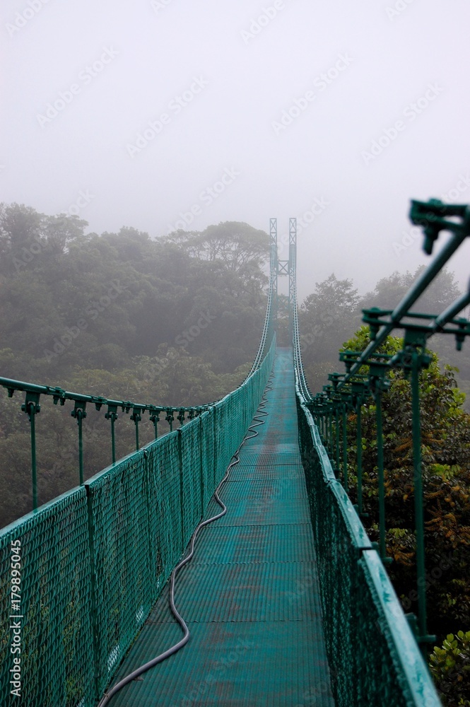 Obraz premium Rain forest bridge