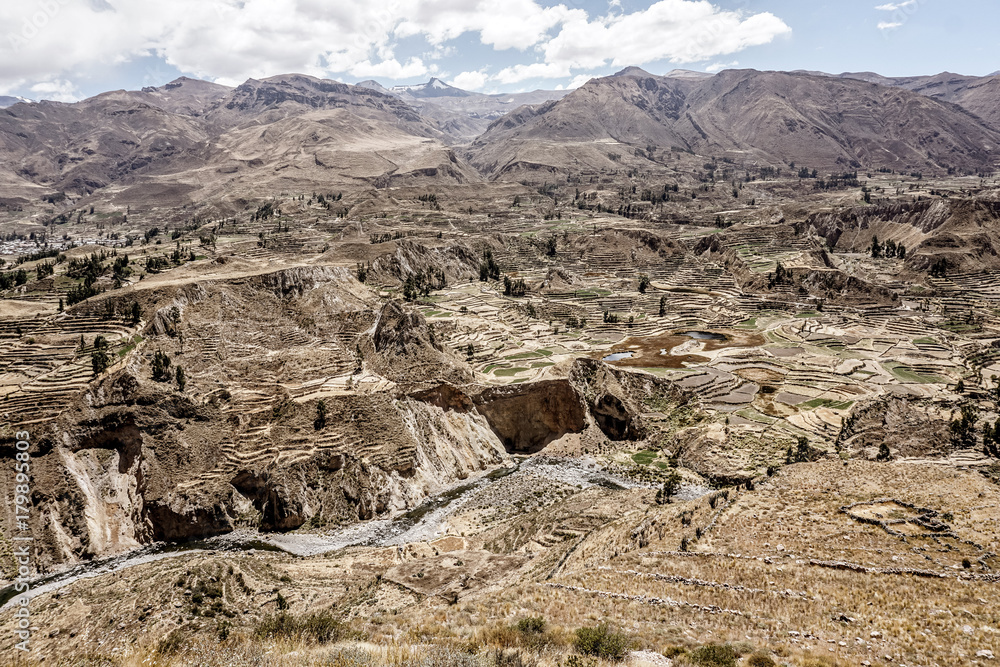 Colca Canyon, Peru Colca Canyon, Peru