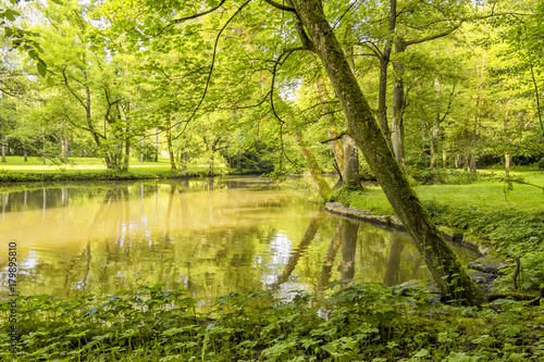 idyllic park scenery