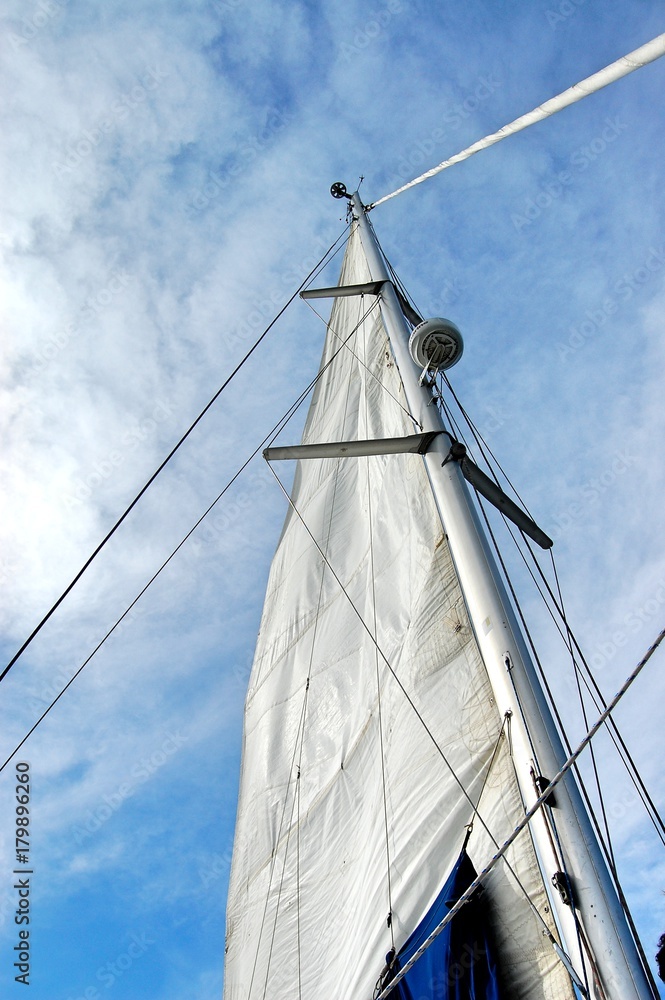 Obraz premium Sailing