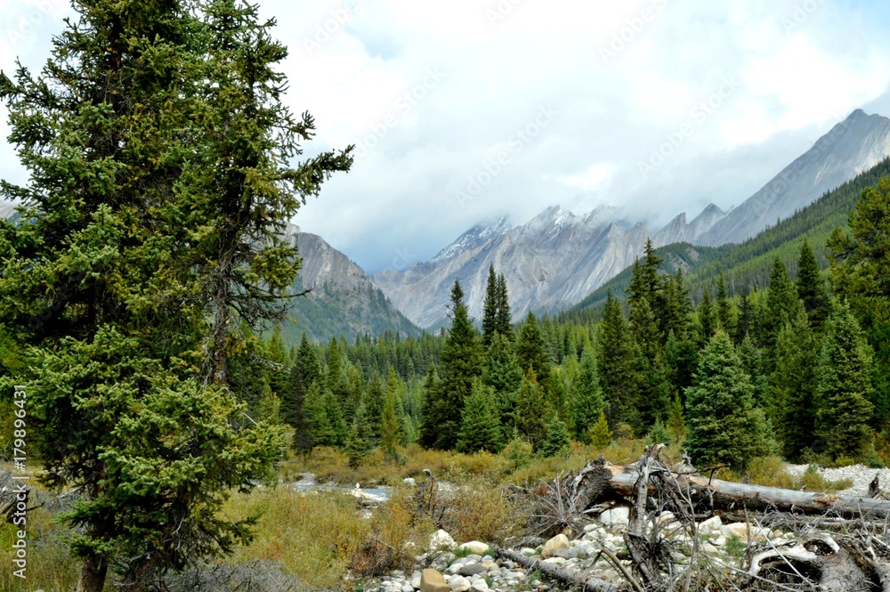 Obraz premium Wewnątrz chmury