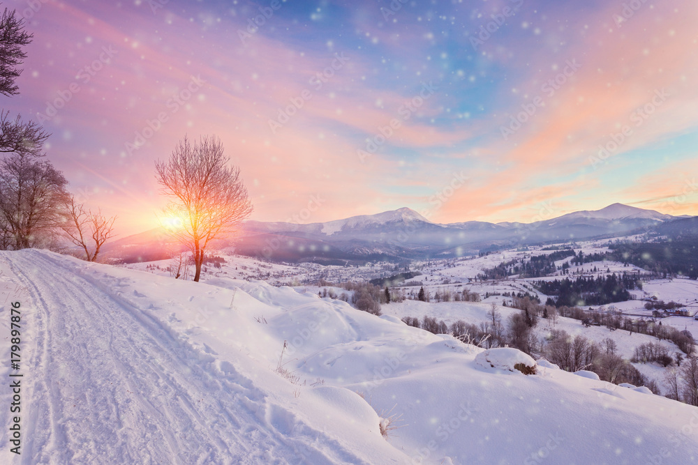 Beautiful winter landscape in the mountains.