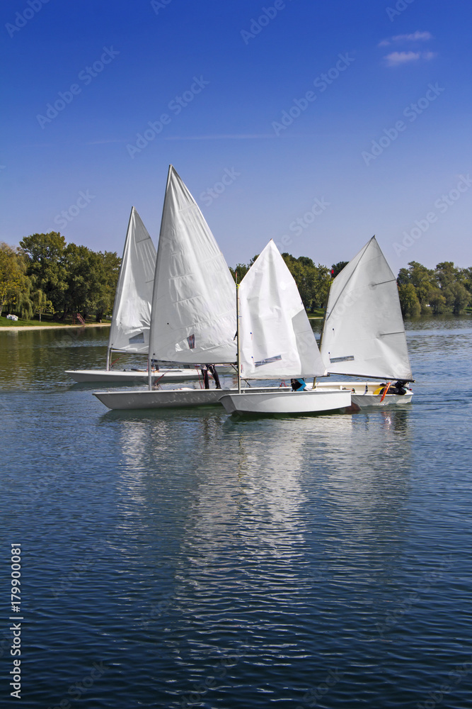 Obraz premium Sports sailing in Lots of Small white boats on the lake