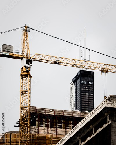 crane