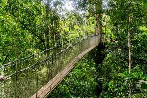 Mulu (Sarawak), Borneo