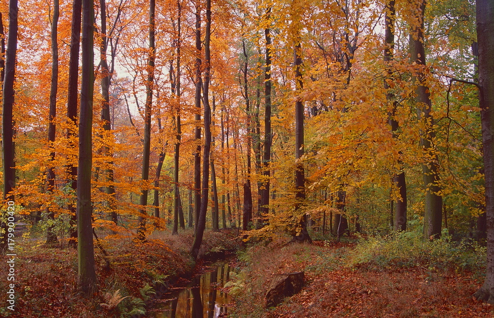 Obraz premium hannover,