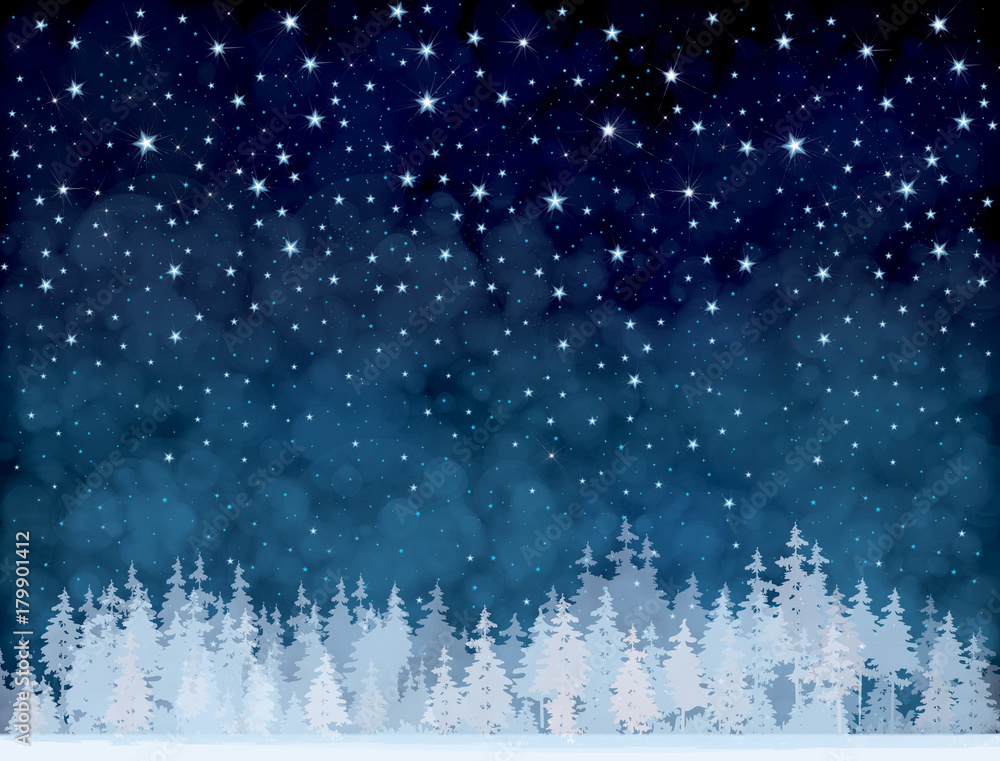 Obraz premium Vector winter night starry sky and forest background.