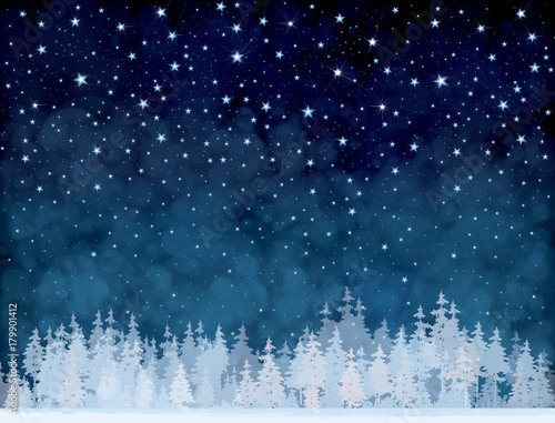Vector winter night starry sky and  forest background.