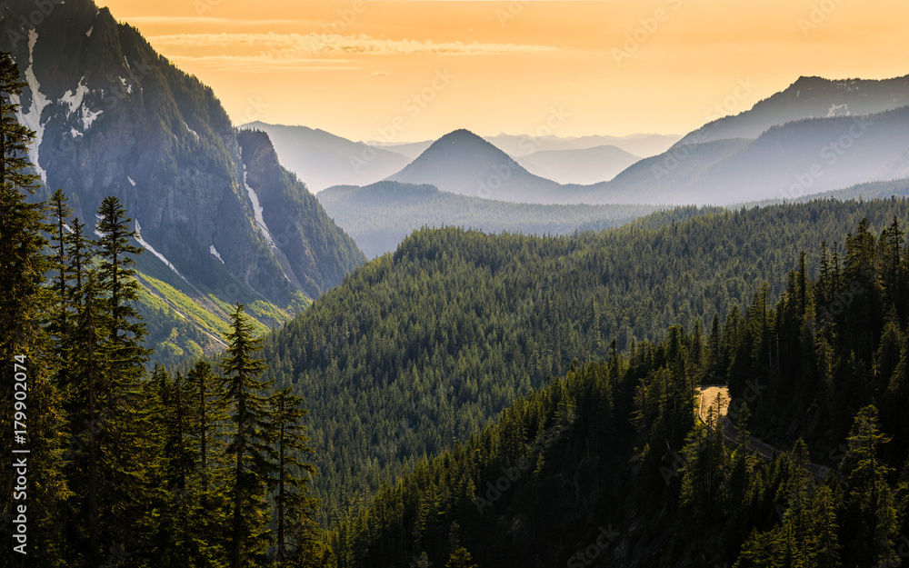 Obraz premium Mount Rainer NP