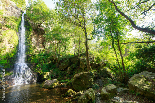 Landscape of one of water cascades of Oneta waterfalls in picturesque forest of Asturias  Spain. 