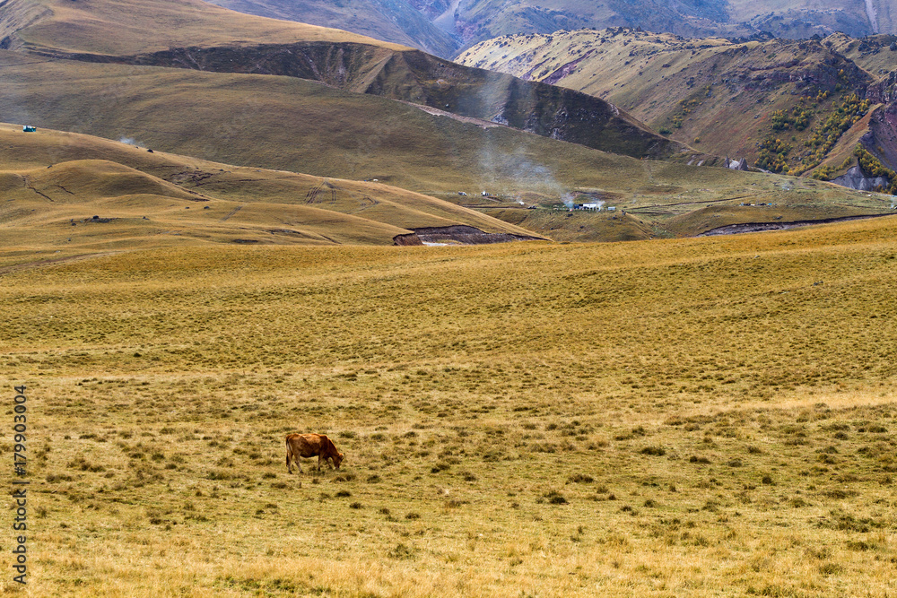 Obraz premium Autumn mountain landscape