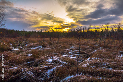 Bright autumn sunset.The woods at sunset. First snow on the grass