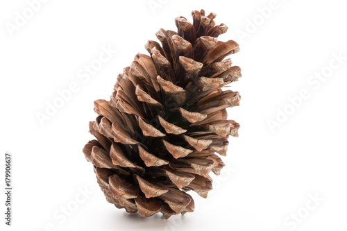 Christmas pine cone on white background.