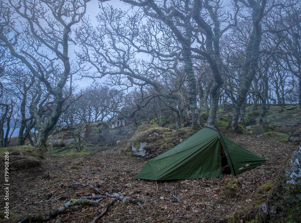 Wild camping in haunted woods