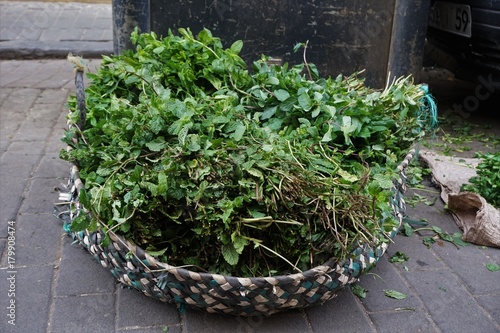 moroccan mint selling on market
