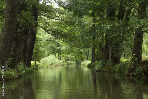 Ruhe, Idylle einfach Natur 