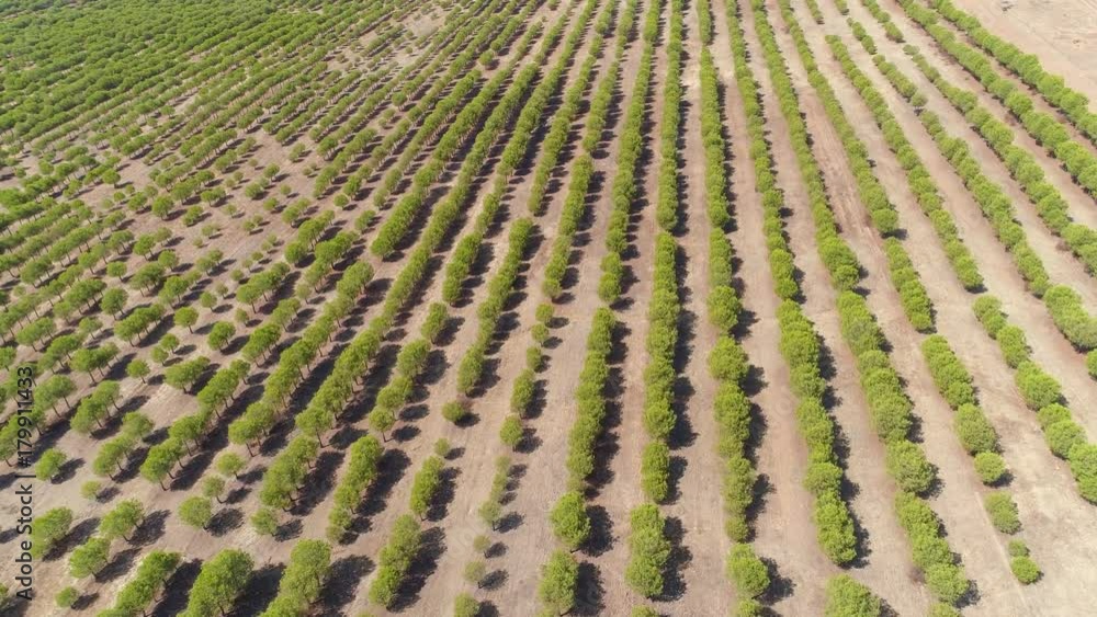 Aerial View Rural Landscape Alentejo, Portugal Aerial View Rural Landscape Alentejo, Portugal