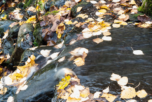 Close-up of a creek with rocks. Smooth movement of water photo