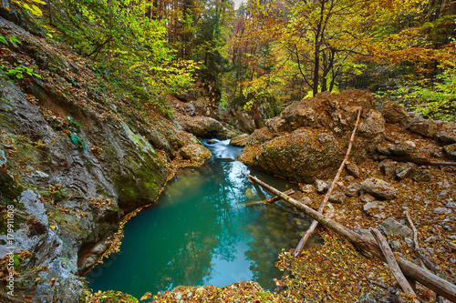 Karst spring in the forest photo