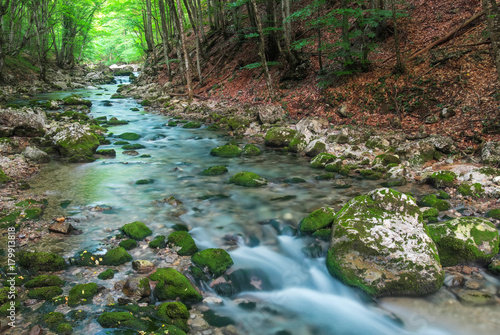 Mountain river in forest and mountain terrain. Crimea, the Grand Canyon. Nature composition.