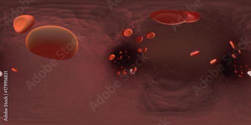 Inside a Blood Vessel 360 VR
