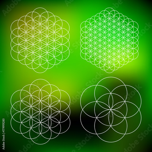 Vector Computer Generated   Flower of Life Symbol Fractals - Generative Art Set 