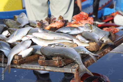 Italy, Palermo. Fish market and fisherman