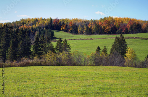 Farm Field near Sussex NB
