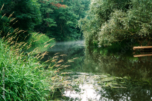 Summer morning river