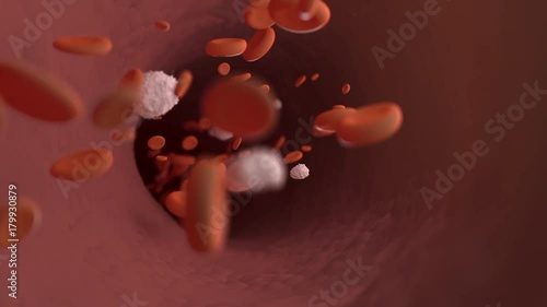 Inside a Blood Vessel looping animation