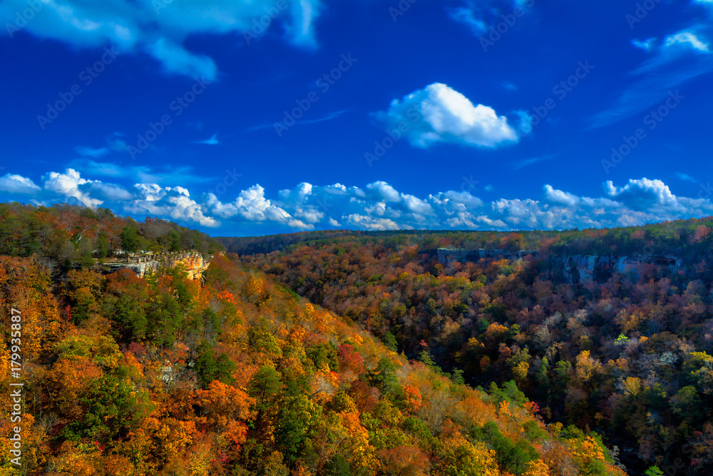 Fall in the Canyon