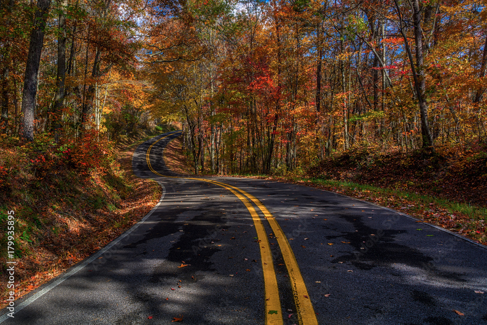 Obraz premium Winding Road