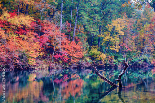 The Colors of Fall