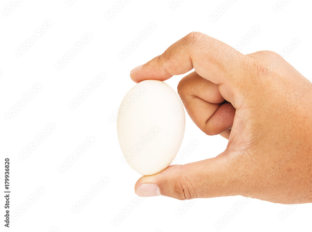 Right hand pick one white egg , isolated on white background with clipping path.
Right hand pick one white egg , isolated on white background with clipping path.