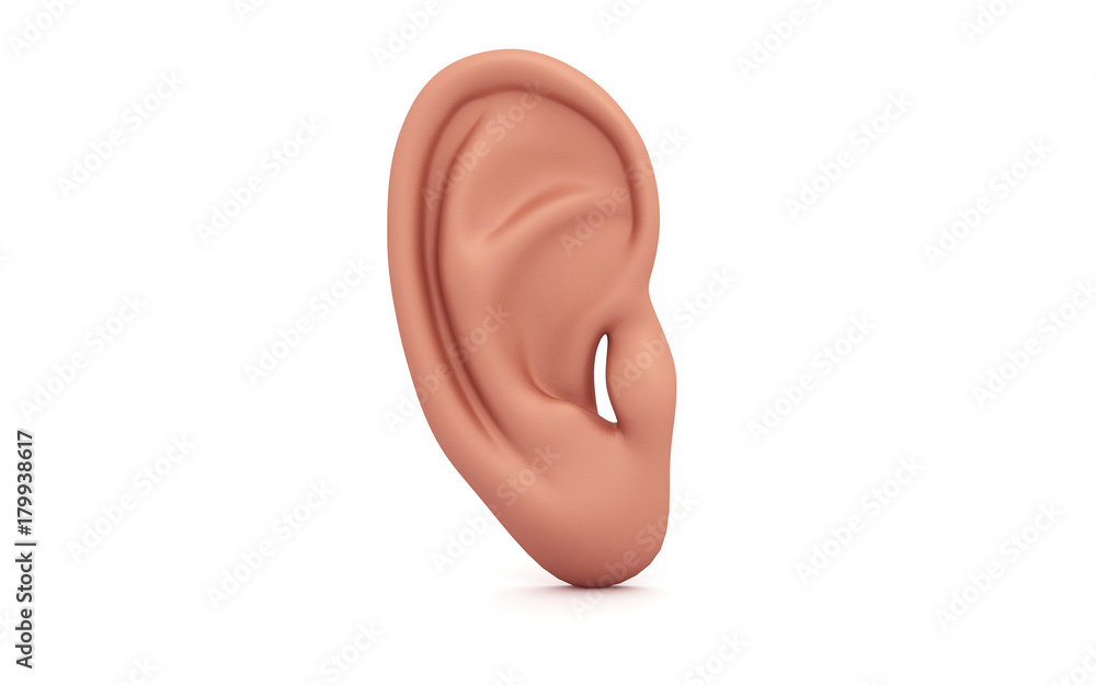 Fototapeta premium 3d rendered ear isolated on white background