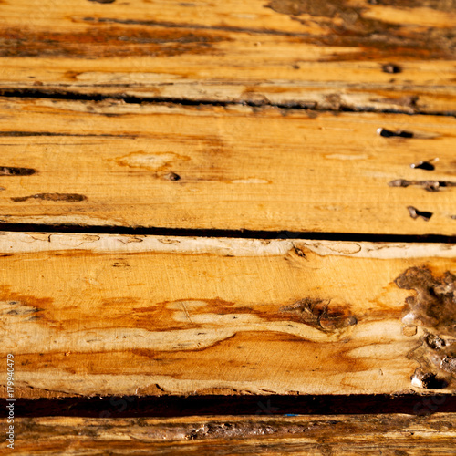 abstract texture of a wood  wall