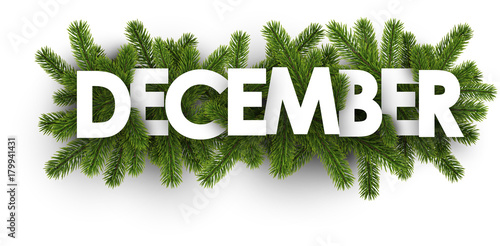 December banner with fir branches. photo