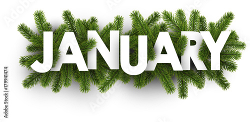 January banner with fir branches.
