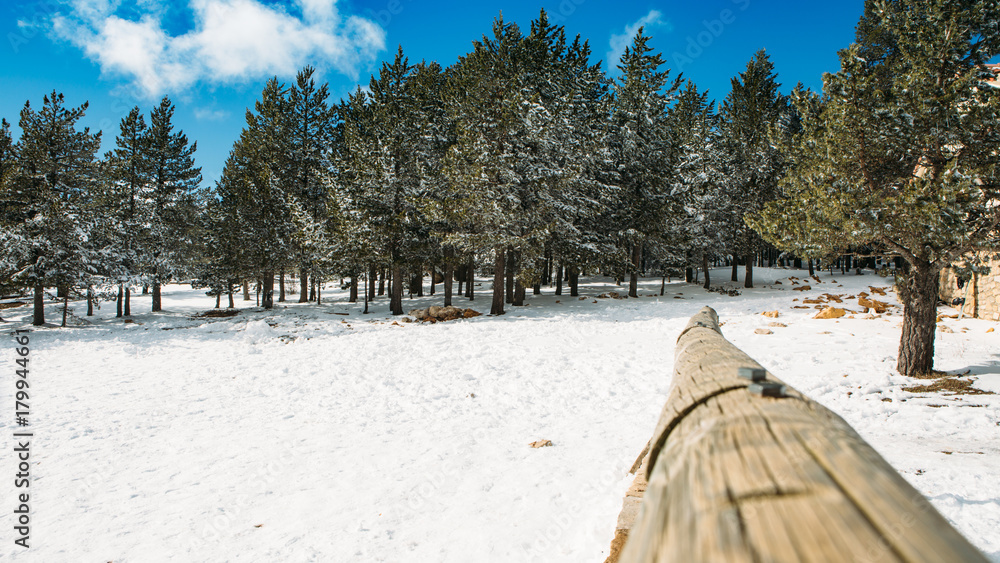 Fototapeta premium Winter landscape at ski resort