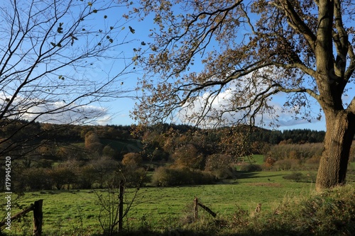 sanfte Hügel im Herbst