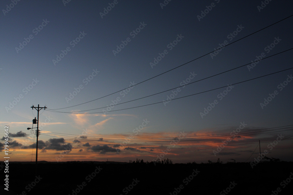 Road at Sunset. Landscapes 